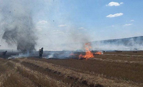 vegetație uscată distrusă flăcări recomandări IGSU - agroexpert.md