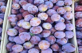 export prune moldovenești UE - agroexpert.md