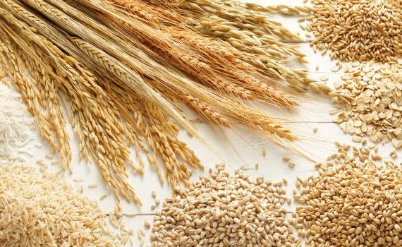 Moldova trei cheiuri pe Prut facilitarea transportului cereale - agroexpert.md