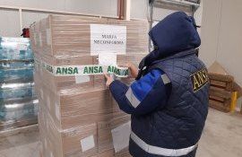 ANSA controale trimestrul II anul 2023 - agroexpert.md