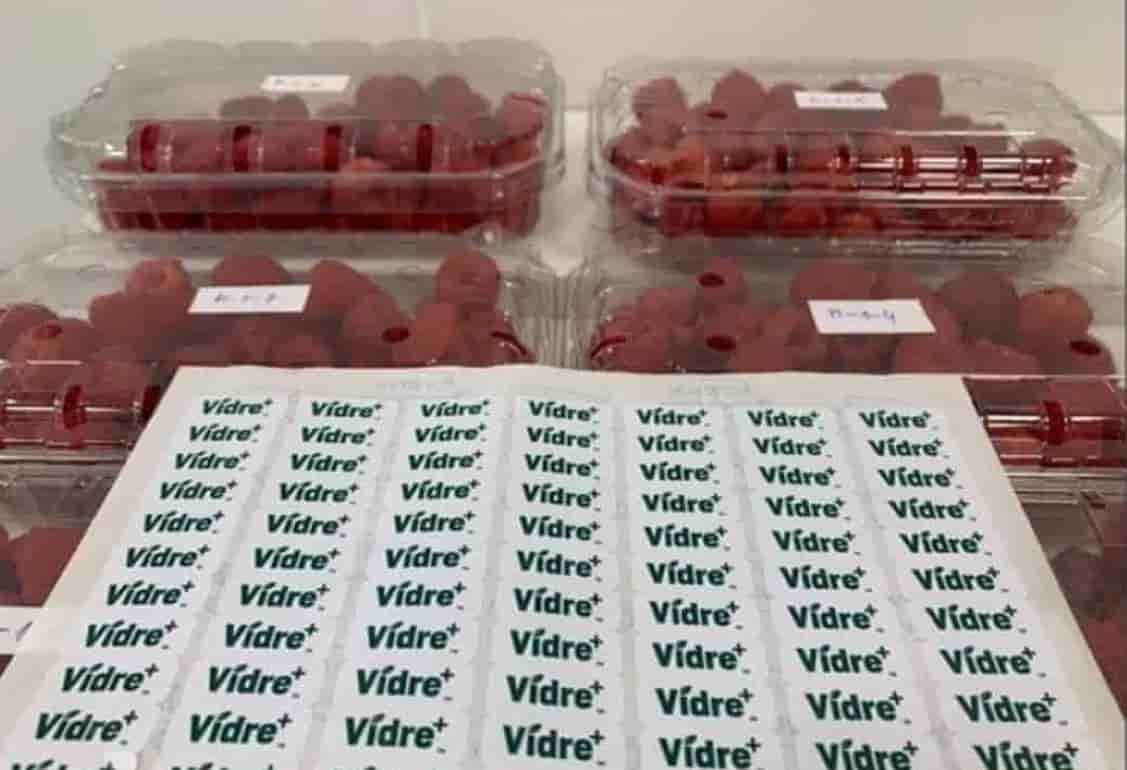 Технология Vidre+™ увеличивающая срок хранения малины до 20 дней - agroexpert.md