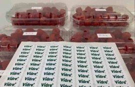 Технология Vidre+™ увеличивающая срок хранения малины до 20 дней - agroexpert.md