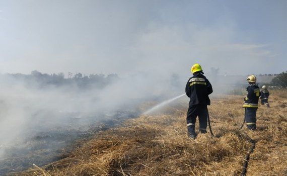 pompieri IGSU incendii de vegetație un bărbat intoxicat - agroexpert.md