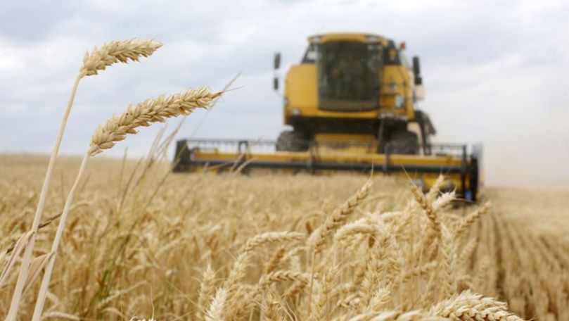 cercetări culturi cerealiere grupa I recolte grâu - agroexpert.md