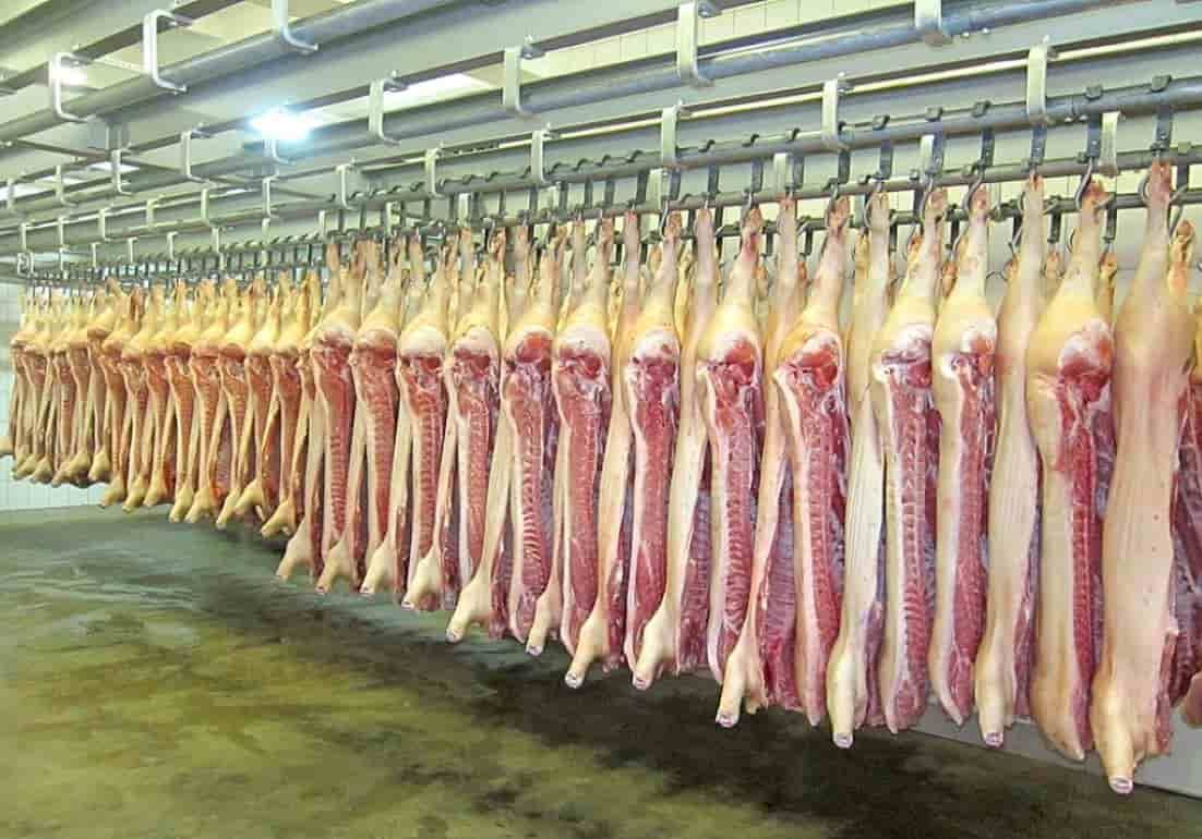 Без льготного импорта свинины в Молдове резко возрастут цены - agroexpert.md