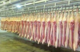 Без льготного импорта свинины в Молдове резко возрастут цены - agroexpert.md