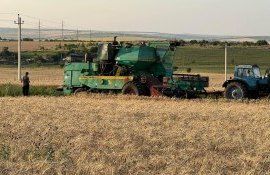 soi grâu or toamnă perfprmanță Selecția - agroexpert.md
