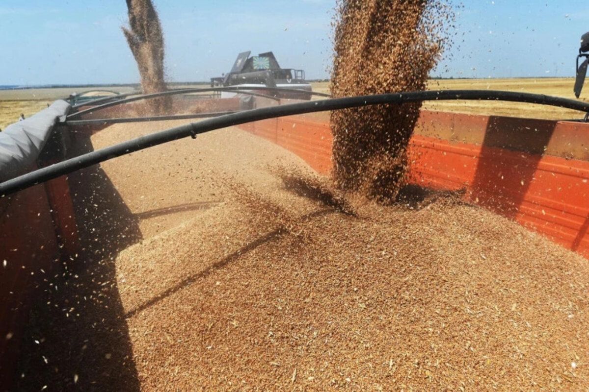 Moldova soluții tranzit cereale Ucraina - agroexpert.md