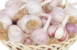 На европейском рынке повышенный спрос на китайский чеснок - agroexpert.md