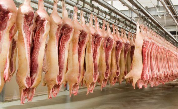 preț produse carne de porc - agroexpert.md