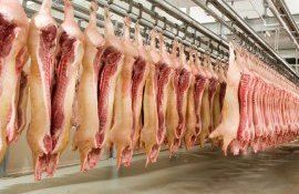 preț produse carne de porc - agroexpert.md