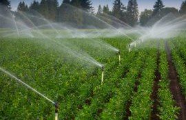 Guvern modificări irigare teren agricol - agroexpert.md