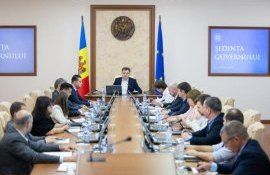 Guvern mpăsuri alimente animale modificate genetic - agroexpert.md