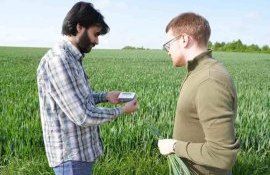 Расход удобрений меньше благодаря тест-полоскам и спутниковым данным - agroexpert.md