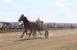 Лошадиные бега прошли в Комрате - agroexpert.md