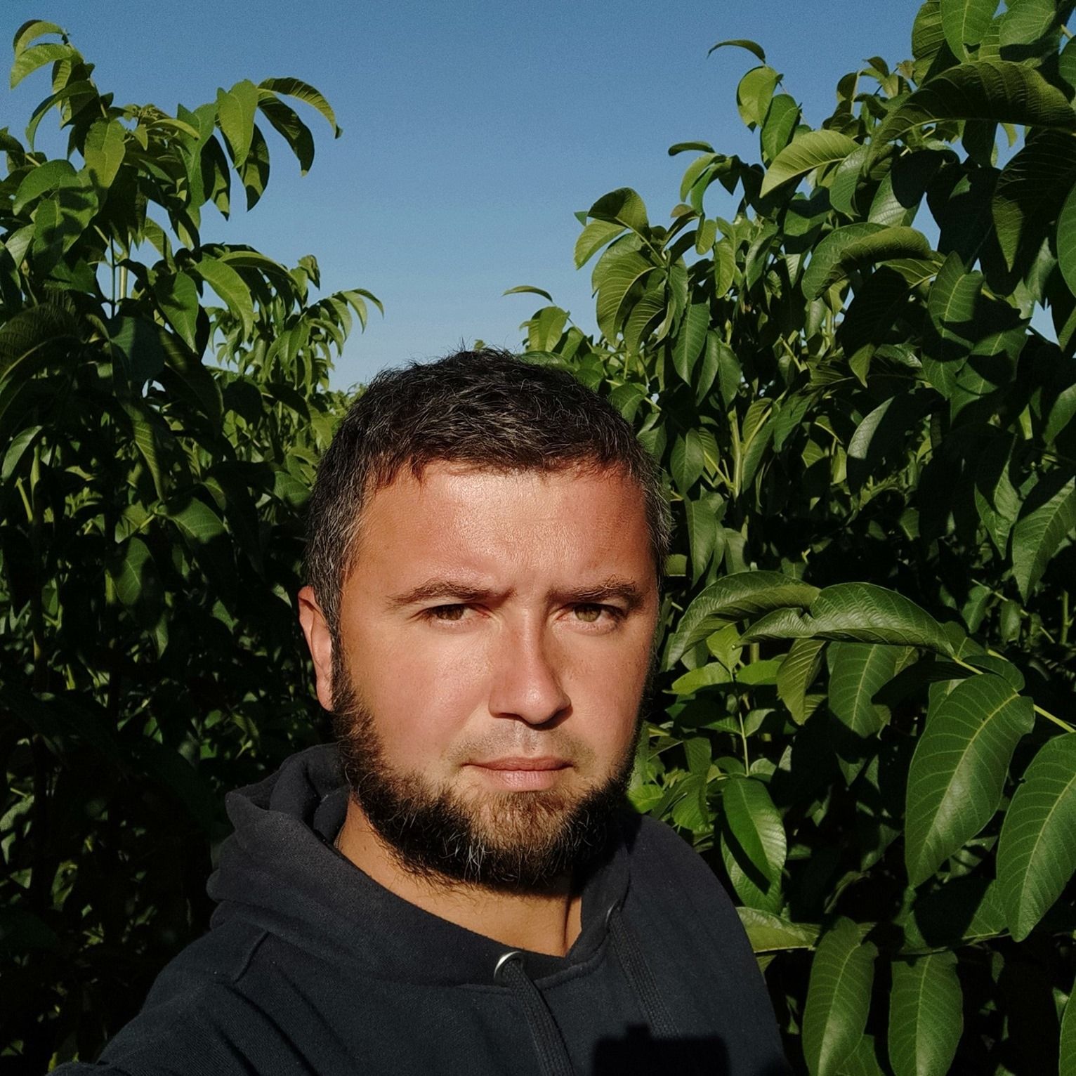 Oleg Tîrsînă prognoze recolta nuci - agroexpert.md