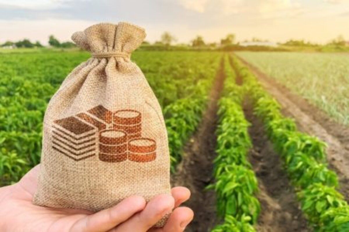 start cereri ajutor fermieri afectați de criză - agroexpert.md