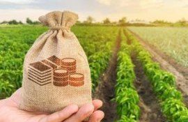 start cereri ajutor fermieri afectați de criză - agroexpert.md