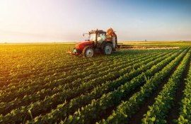 discuții MAIA sprijin agricultori agenții ONU - agroexpert.md