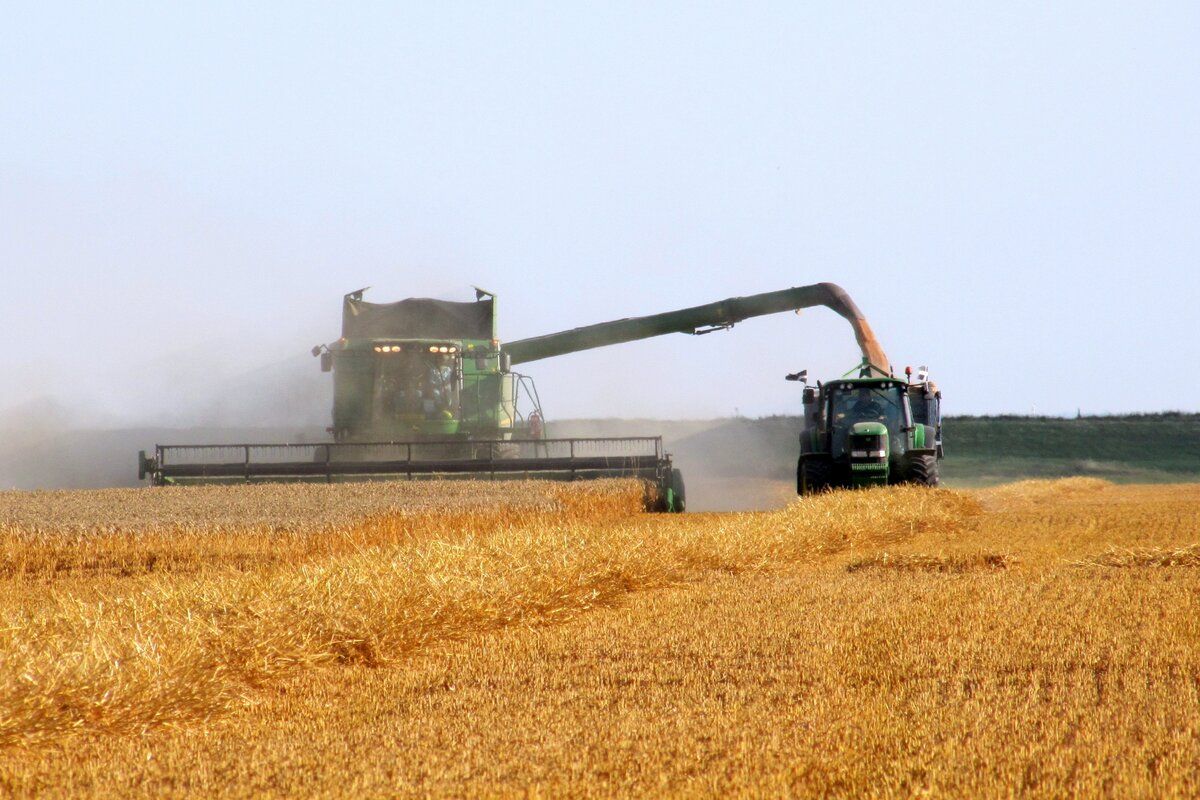 Transnistria recolta cereale - agroexpert.md