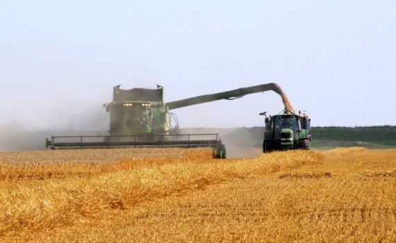 Transnistria recolta cereale - agroexpert.md