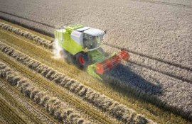 Из-за обильных осадков в ЕС снижаются темпы уборки озимых - agroexpert.md