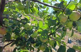 fermieri moldoveni expert german agricultura ecologică - agroexpert.md