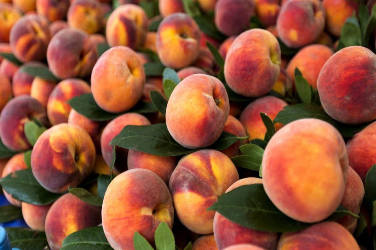 Slusari sezon fructe supermarketuri produse străine - agroexpert.md