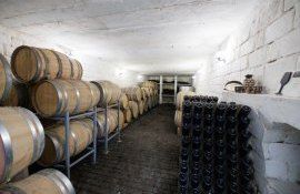 Vinăria Gogu afacere vin export UE - agroexpert.md