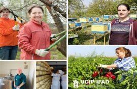 antreprenoare afaceri jumătatea anului 2023 - agroexpert.md