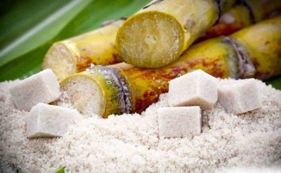 Индия может запретить экспорт сахара из-за низкого урожая сахарного тростника - agroexpert.md
