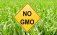 В Украине принят закон о ГМО - agroexpert.md