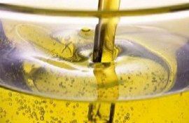  Страны ЕС рекордно увеличили экспорт подсолнечного масла - agroexpert.md