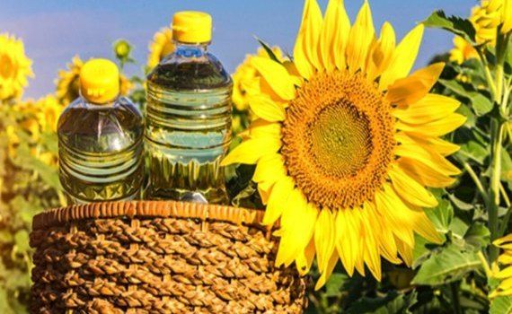 Iurie Rija Costurile producere floarea soarelui ulei - agroexpert.md
