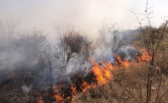 incendii vegetație Grecia -agroexpert.md