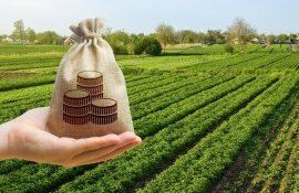 fermieri dosare AIPA subvenții - agroexpert.md
