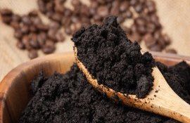 zațul de cafea plante flori avantaje - agroexpert.md