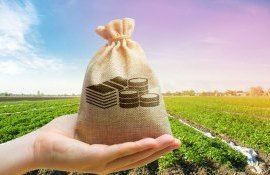acte necesare fermieri beneficia subvenșii - agroexpert.md