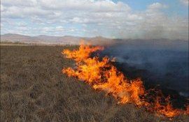 Cod Galben incendiu recomandări SHS - agroexpert.md