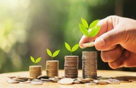 fermieri suport financiar grant prima jumătate 2023 - agroexpert.md