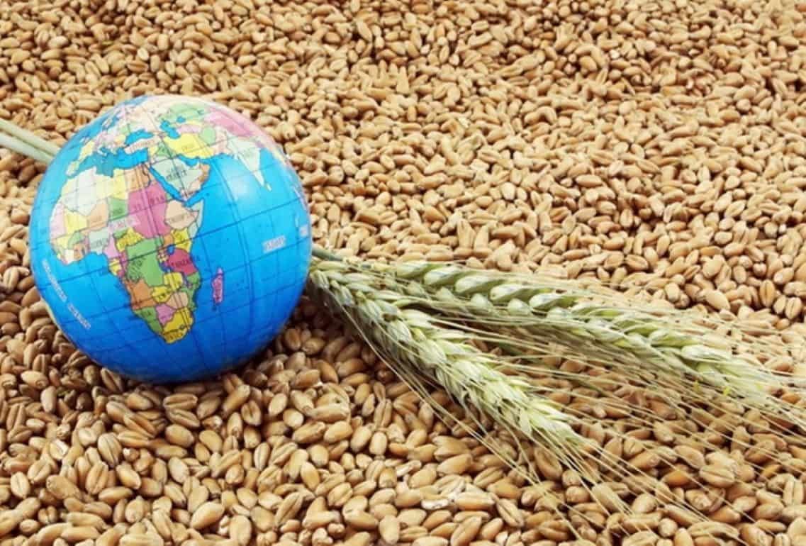 Пшеничные фьючерсы на мировых биржах активно дешевеют - agroexpert.md