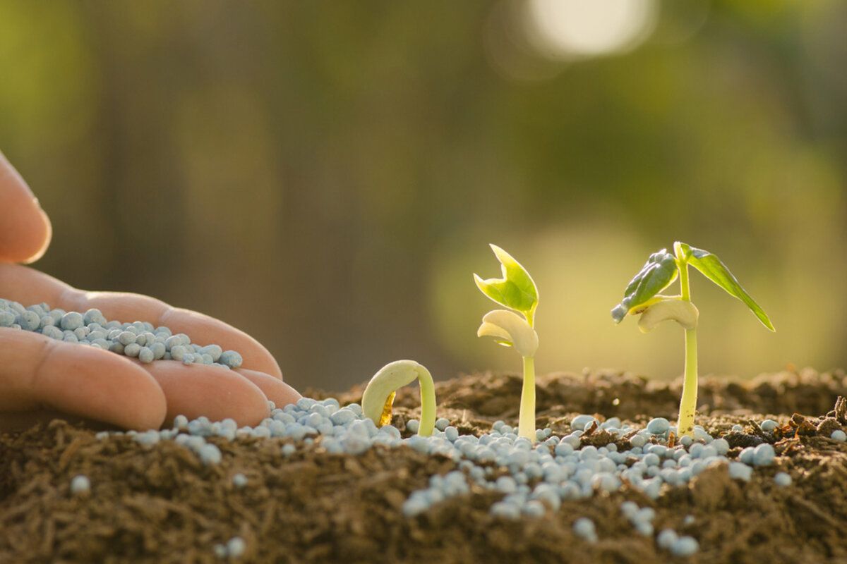 Aprobat autorizarea produselor fitosanitare cu UE - agroexpert.md