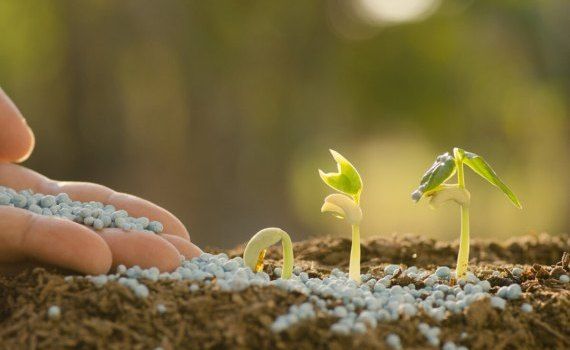 Aprobat autorizarea produselor fitosanitare cu UE - agroexpert.md