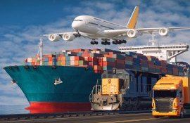 companii autohtone interesate de export instruire - agroexpert.md