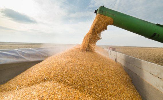 export cereale ucrainene Dunăre SUA România Moldova - agroexpert.md