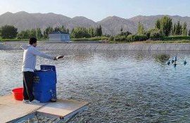 Китай развивает аквафермерство с морской водой - agroexpert.md