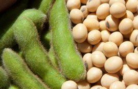Аргентина снова вводит «соевый доллар» - agroexpert.md