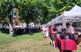 Primul Festival al Vinului de Autor - agroexpert.md