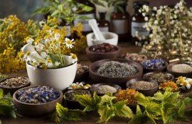 prima uscătorie plante medicinale nordul Moldovei - agroexpert.md