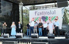 Festival struguri - agroexpert.md
